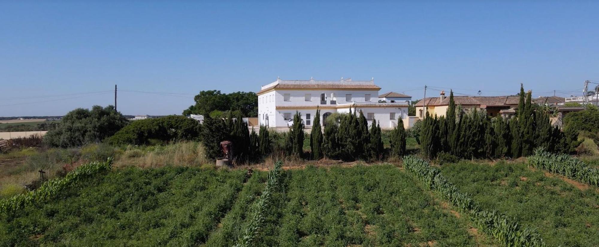 Alojamiento Rural Al'Mare Conil De La Frontera Exterior photo
