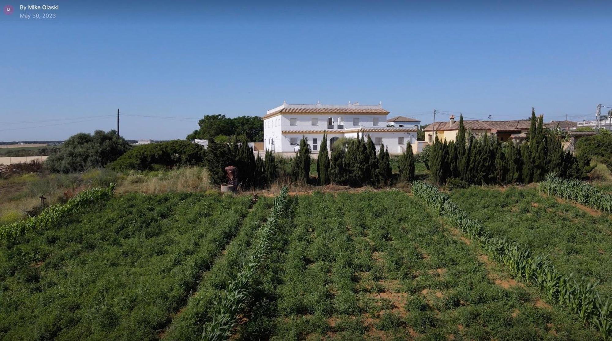 Alojamiento Rural Al'Mare Conil De La Frontera Exterior photo